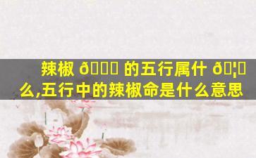 辣椒 🍁 的五行属什 🦄 么,五行中的辣椒命是什么意思